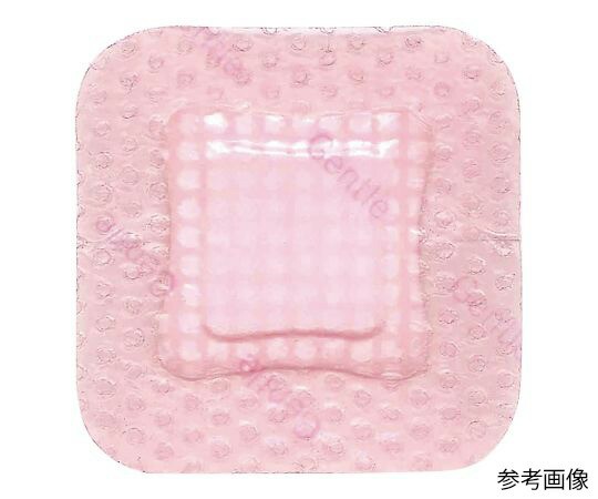 スミス＆ネフュー ハイドロジェントルエイド　100×200mm  1箱(10枚入)の通販は