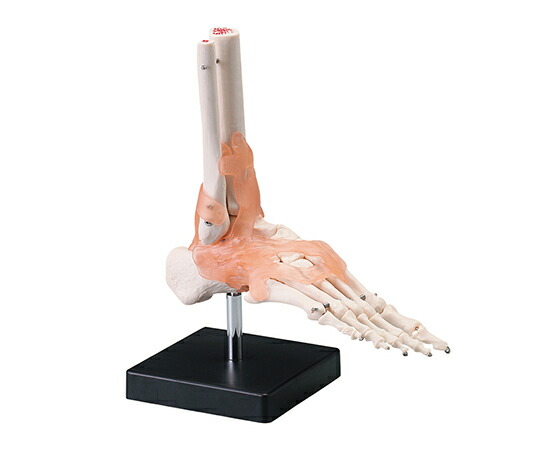 4043）堤照男 油絵 F10号 苔寺（西芳寺） 絵画