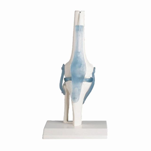 無料健康相談付 　3電源　CAS ポータブル体重計 PB-150H 無料健康相談付 3電源 CAS ポータブル体重計 PB-150H