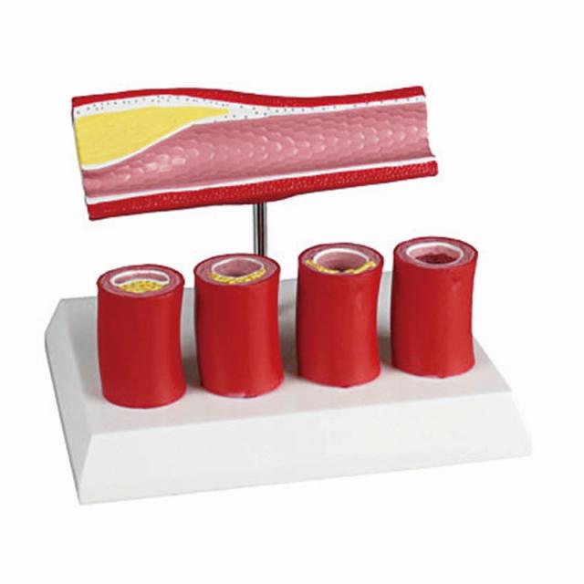 中古 TENGA TRAINING TETRA