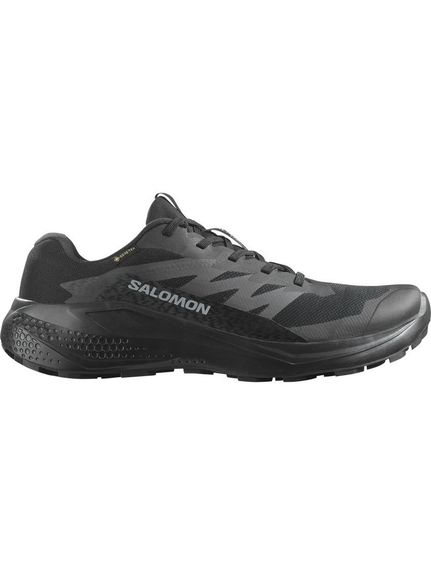 サロモン SALOMON ALPHAGLIDE GTX アウトドアウォーキング