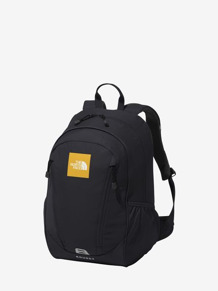 全国無料，低価】 ノースフェイス ラウンディ キッズ リュック