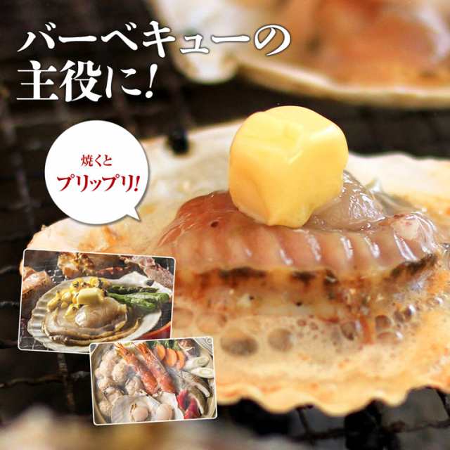 送料無料 北海道産 殻付ほたて貝 10枚 片貝 ホタテ ほたて 帆立 バター焼き BBQ バーベキュー 冷凍便 水産 ギフト 食品 グルメ 海鮮の通販はau  PAY マーケット - 食の達人森源商店