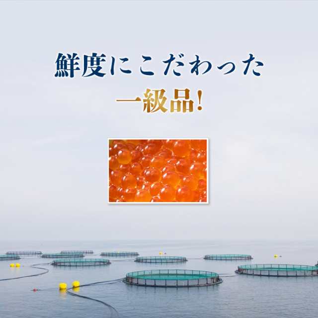 いくら醤油漬け 250g サーモントラウト イクラ お寿司 手巻き 送料無料 冷凍便 ギフト 食品 グルメ 海鮮の通販はau PAY マーケット -  食の達人森源商店