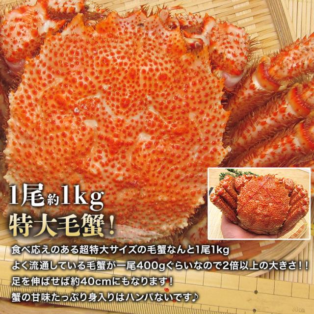 北海道産 幻の巨大毛ガニ1尾約1kg 送料無料 毛蟹 贈り物 姿 ギフト プレゼント 丸ごと かに カニ 蟹 けがに ギフト プレゼント 食品 グルメ 海鮮 ギフト プレゼント 母の日_3