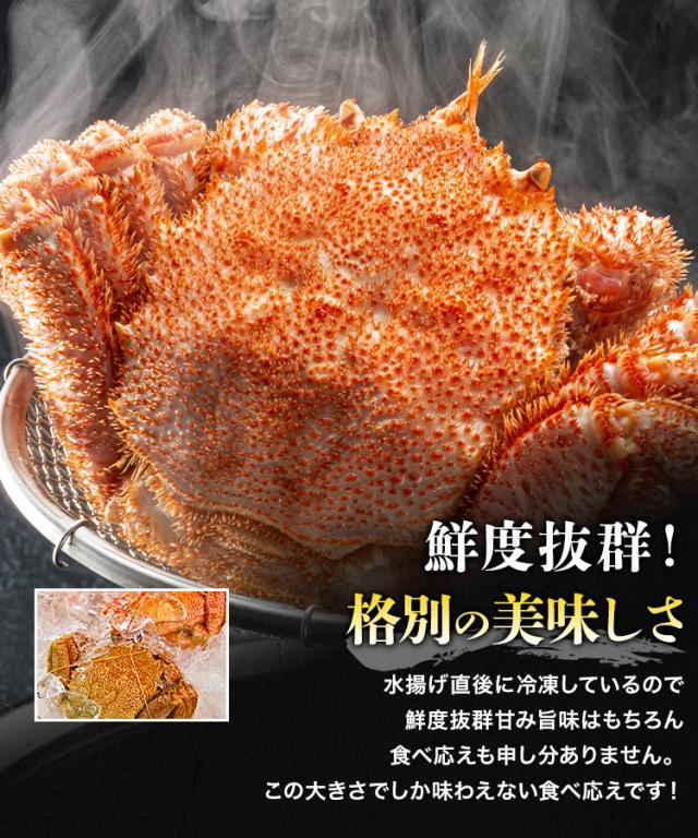 北海道産 幻の巨大毛ガニ1尾約1kg 送料無料 毛蟹 贈り物 姿 ギフト プレゼント 丸ごと かに カニ 蟹 けがに ギフト プレゼント 食品 グルメ 海鮮 ギフト プレゼント 母の日_4