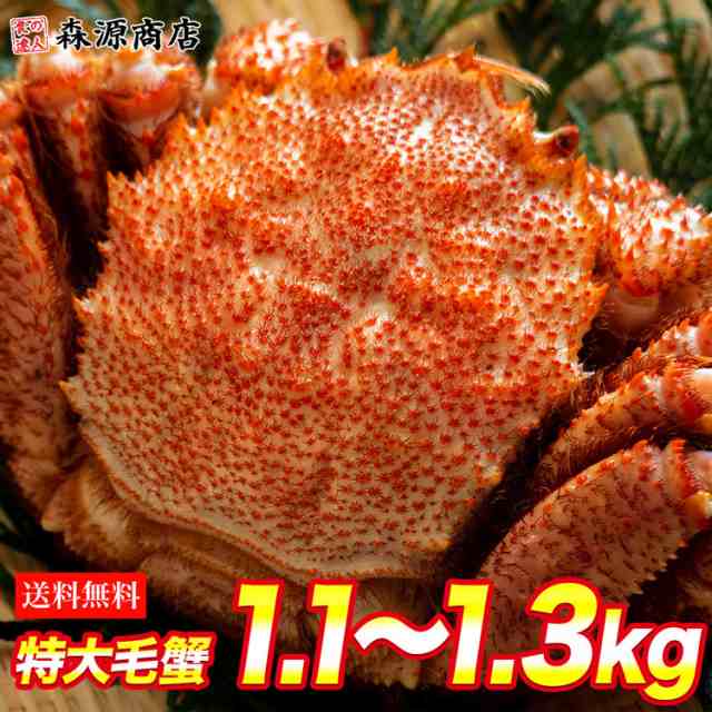 毛ガニ 超特大1尾 約1 1kg ロシア産 ギフト 送料無料 冷凍便 毛蟹 毛がに ケガニ の通販はau Pay マーケット 食の達人森源商店