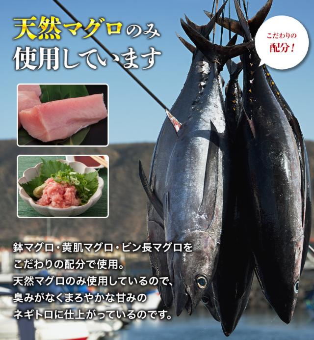 いくトロ ネギトロ いくら ネギトロ丼 5人前 ＆ 紅鮭いくら丼5人前 合計10人前 セット マグロ 5人前 イクラ 250g 鮪 ねぎとろ 冷凍便 食品 海鮮 グルメ お試し セット ギフト プレゼント  ギフト プレゼント 父の日_6