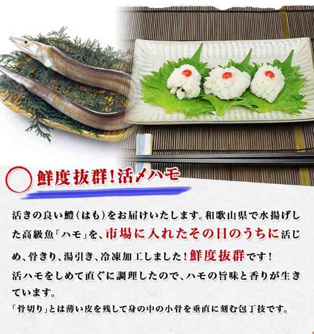 国産 活〆はも湯引き500g ハモ 鱧 はも 送料無料 冷凍便 お取り寄せ ギフト 食品 新生活応援 備蓄の通販はau Pay マーケット 食の達人森源商店