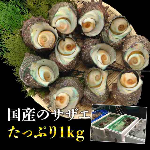 活きたまま発送 サザエ 1kg 8 13個 さざえ つぼ焼き 送料無料 中サイズ q用 海鮮 魚介 バーベキュー 同梱不可 冷蔵配送 水産 父の日 の通販はau Pay マーケット 食の達人森源商店