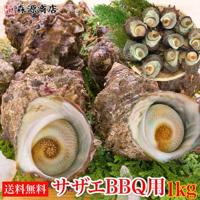 活きたまま発送 サザエ 1kg 8 13個 さざえ つぼ焼き 送料無料 中サイズ q用 海鮮 魚介 バーベキュー 同梱不可 冷蔵配送 水産 父の日 の通販はau Pay マーケット 食の達人森源商店