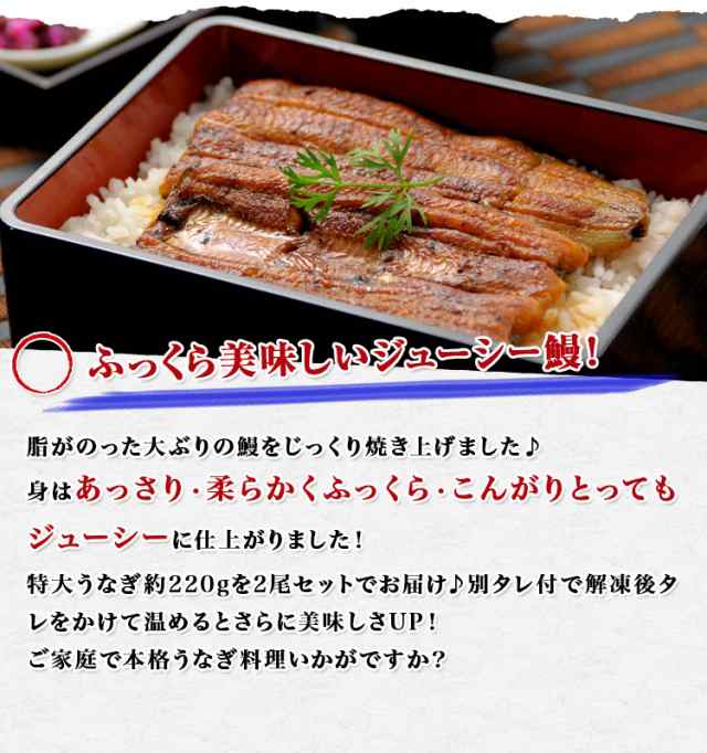 特大 うなぎ蒲焼き440g 2尾 タレ付 中国産 鰻 ウナギ かば焼き 土用丑の日 スタミナ うな丼 冷凍便 本 敬老の日 ギフト お取り寄せグルの通販はau Pay マーケット 食の達人森源商店