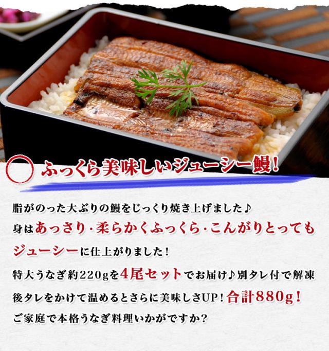 特大うなぎ蒲焼 4尾 約0g タレ付き 中国産 鰻 ウナギ かば焼き 土用丑の日 スタミナ 冷凍便 送料無料 本 お取り寄せ ギフト 食品 新生の通販はau Pay マーケット 食の達人森源商店