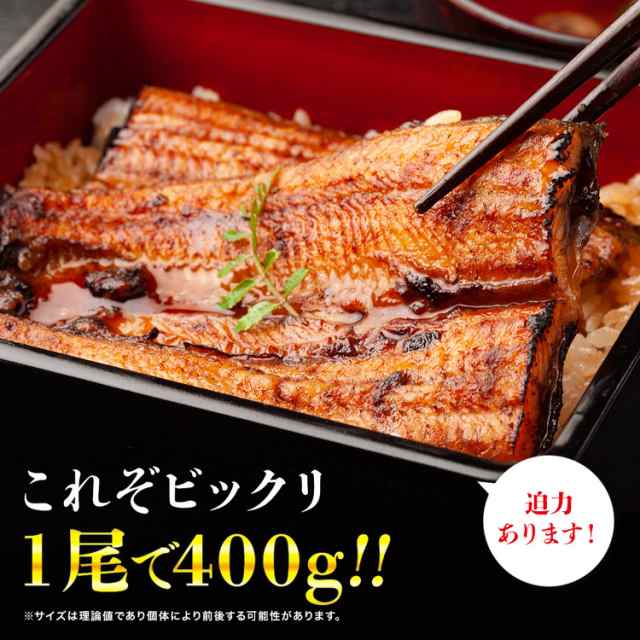 うなぎ 超巨大 うなぎ蒲焼 2尾x約400g 超特大 頭なし２本で計約800g デカうま のし対応 送料無料 冷凍便 ウナギ 鰻 蒲焼 かば焼き 土用の