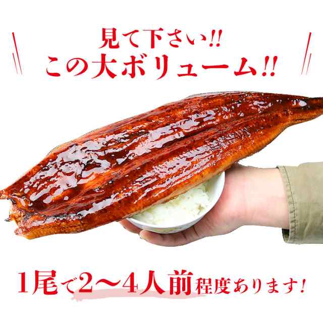 巨大 うなぎ蒲焼 1尾 約400g 無頭 ウナギ 鰻 蒲焼 かば焼き 土用丑 土用 丑の日 のし対応可能 送料無料 冷凍便 本 お取り寄せ ギフト 食の通販はau Pay マーケット 食の達人森源商店