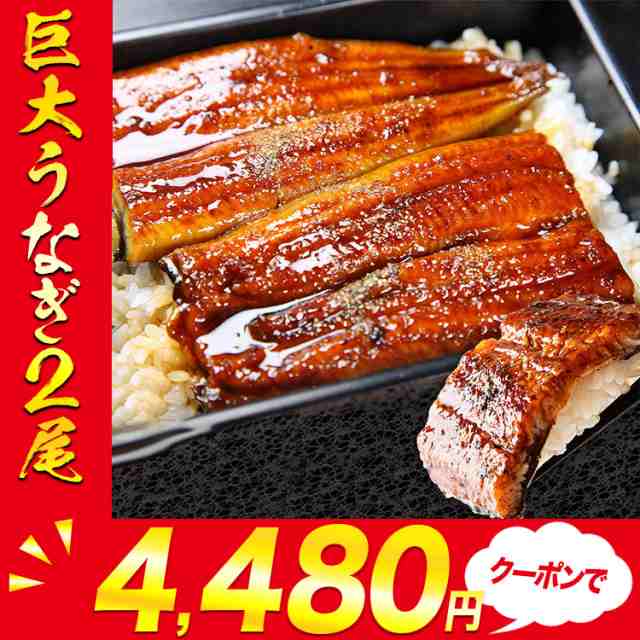 クーポンで4080円 巨大 うなぎ蒲焼 2尾x約400g 計約800g 超特大 のし