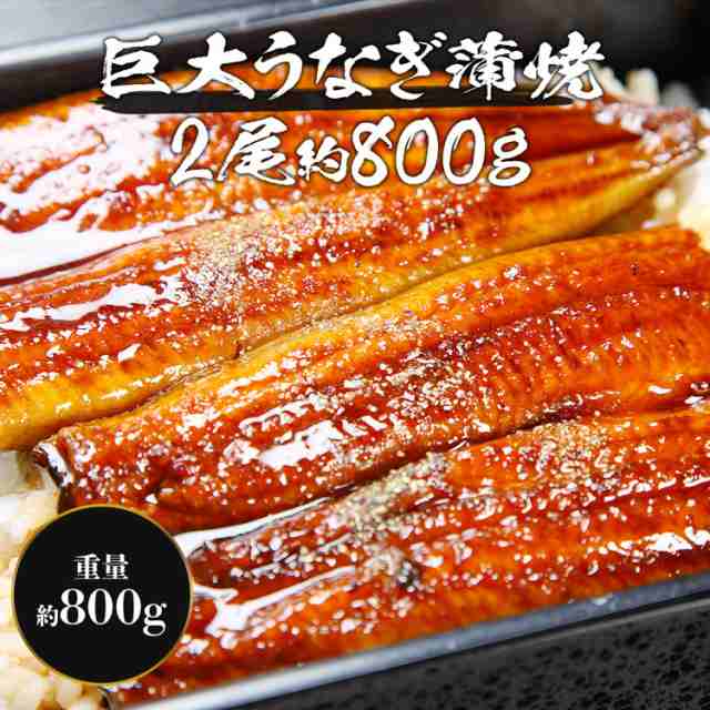 うなぎ 超巨大 うなぎ蒲焼 2尾x約400g 超特大 頭なし２本で計約800g デカうま のし対応 送料無料 冷凍便 ウナギ 鰻 蒲焼 かば焼き 土用の