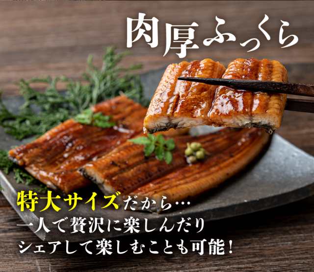 うなぎ 蒲焼き 国産 2尾 大約150g×2本 選べる風呂敷包み 送料無料