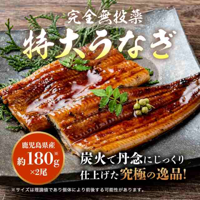 うなぎ 蒲焼き 国産 2尾 特大 約180g×2本 無投薬 選べる風呂敷包み