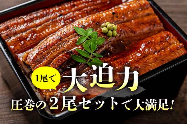 国産 うなぎ蒲焼き 2尾 大 約150g×2本 風呂敷包み 鹿児島県産 鰻 送料無料 冷凍便 鰻 ウナギ かば焼き 山椒たれ付き 土用の丑の日贈答  の通販はau PAY マーケット - 食の達人森源商店