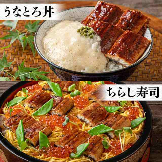 国産 うなぎ蒲焼き 2尾 大 約150g×2本 風呂敷包み 鹿児島県産 鰻 送料無料 冷凍便 鰻 ウナギ かば焼き 山椒たれ付き 土用の丑の日贈答  の通販はau PAY マーケット - 食の達人森源商店