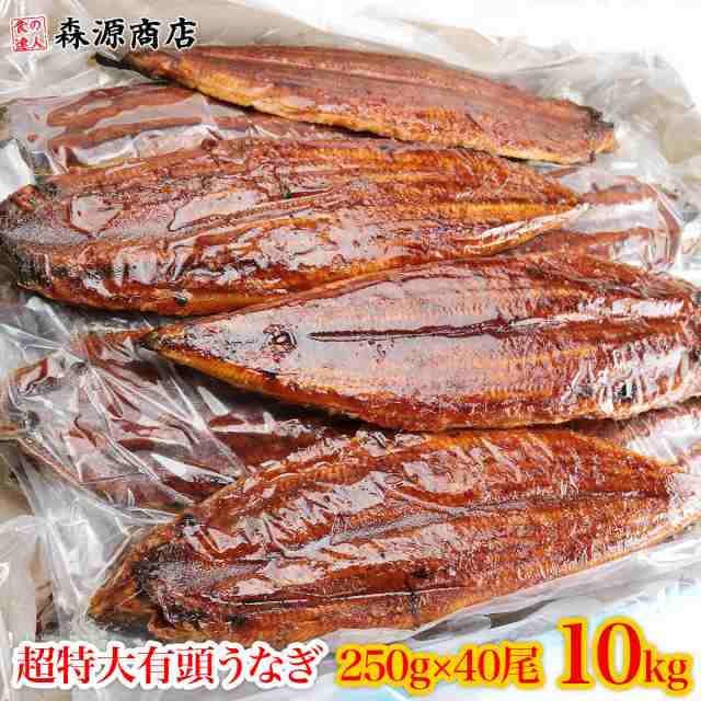 うなぎ 有頭腹開き 超特大約250g×40尾 10kg 業務用 業務用 送料無料 冷凍便 鰻 ウナギ かば焼き プレゼント 食品 グルメ 海鮮 クーポン