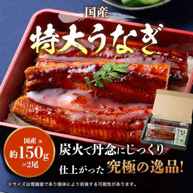 うなぎ 蒲焼き 国産 2尾 プレミアム会員送料無料 大約150g×2本 鹿児島