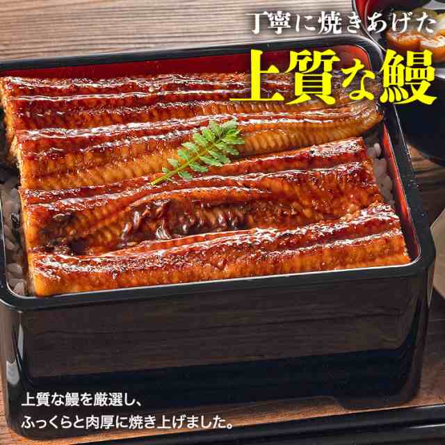 国産 うなぎ蒲焼き 2尾 大 約150g×2本 風呂敷包み 鹿児島県産 鰻 送料無料 冷凍便 鰻 ウナギ かば焼き 山椒たれ付き 土用の丑の日贈答  の通販はau PAY マーケット - 食の達人森源商店