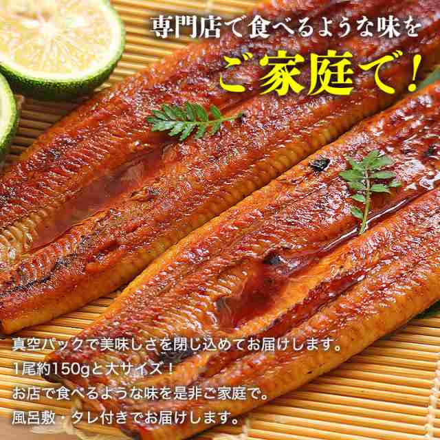 国産 うなぎ蒲焼き 2尾 大 約150g×2本 風呂敷包み 鹿児島県産 鰻 送料無料 冷凍便 鰻 ウナギ かば焼き 山椒たれ付き 土用の丑の日贈答  の通販はau PAY マーケット - 食の達人森源商店