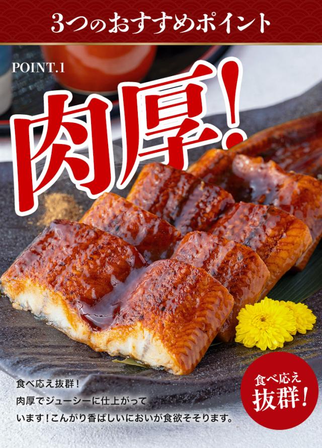 カット うなぎ蒲焼き 10食 個別包装 肉厚 真空パック 衛生的 鰻
