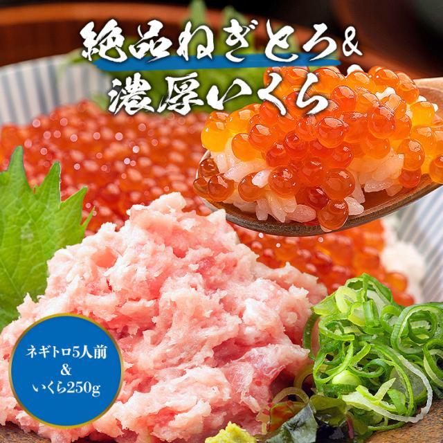 いくトロ ネギトロ いくら ネギトロ丼 5人前 ＆ 紅鮭いくら丼5人前 合計10人前 セット マグロ 5人前 イクラ 250g 鮪 ねぎとろ 冷凍便 食品 海鮮 グルメ お試し セット ギフト プレゼント  ギフト プレゼント 父の日_2