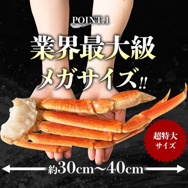 超目玉 メガ盛り5kg 超特大 ボイルずわい蟹 6〜3Lサイズ 送料無料 冷凍  