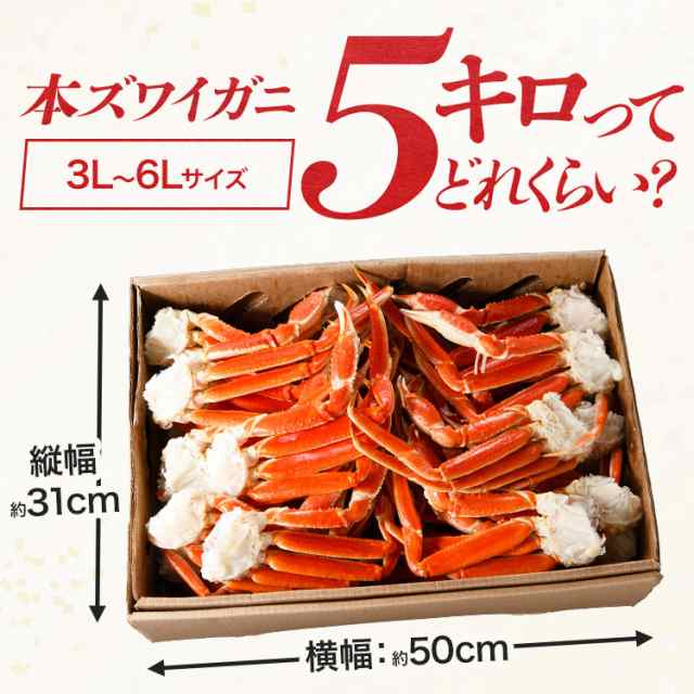 超目玉 メガ盛り5kg 超特大 ボイルずわい蟹 6〜3Lサイズ 送料無料 冷凍