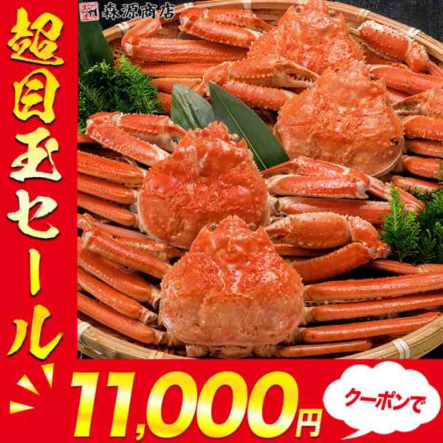 かに 姿ずわいがに 3kg (5〜6尾) 送料無料 冷凍便 蟹 カニ ずわいがに