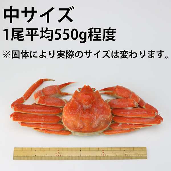 訳あり カニ 蟹 かに 高級カナダ産 ボイル済み 姿ずわい蟹 中２尾セット 約1 1kg 送料無料 キャッシュレス5 対象店 備蓄 父の日 ギフト の通販はau Wowma 食の達人森源商店