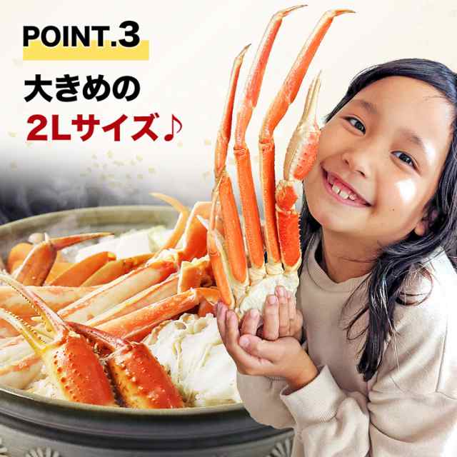 本ずわいがにの足 2L 2kg ボイル済み ずわい蟹 7〜8肩 特大 かに足