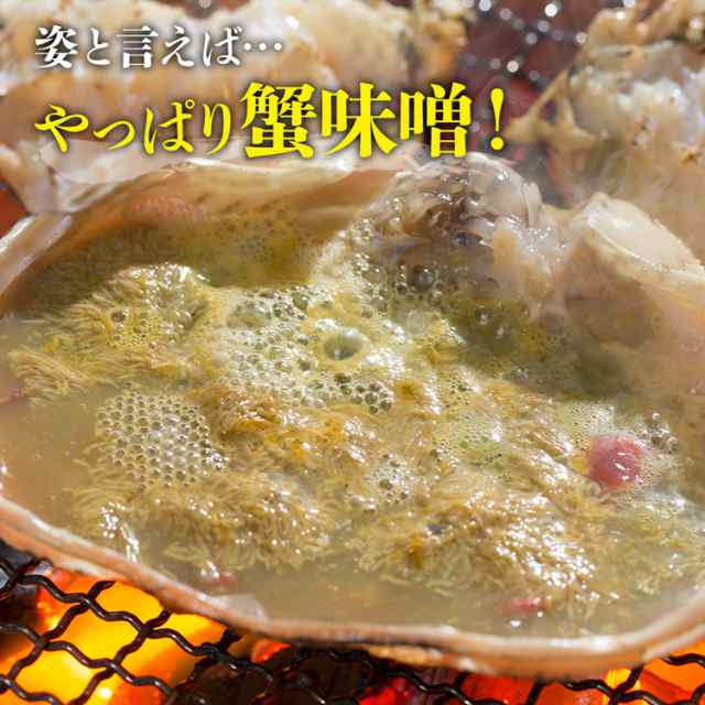 PAY　食の達人森源商店　ズワイガニ　プレゼントの通販はau　蟹　送料無料　冷凍便　丸ごと　約1.5kg(1.4kg〜1.6kg)　マーケット　au　マーケット－通販サイト　プレゼント　姿ずわい2尾　かに　ボイル　カニ　PAY　特大　高級カナダ産