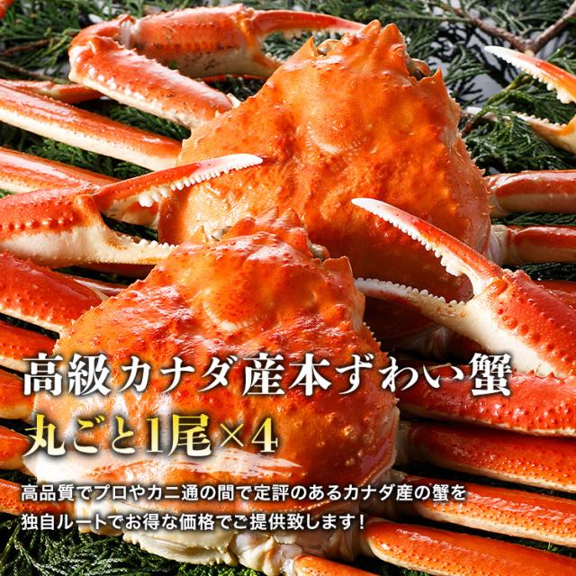 訳あり カナダ産 ボイル済み 姿ずわい蟹 4尾 約2.6kg(2.4kg〜2.8kg) カニ かに 蟹 ズワイガニ ギフト 食品 グルメ 海鮮 ギフト プレゼント 母の日_2