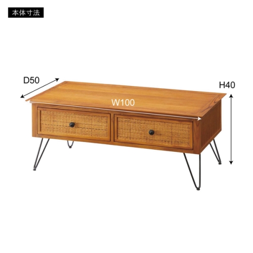 折りたたみセンターテーブル BR W100 furnbonheur_rpe100tbl