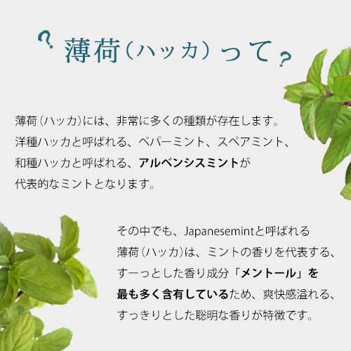 アロマスプレー ハッカ 30ml 薄荷 ハッカ油 ミント マスクスプレー アロマ 虫除け 虫よけスプレー ディート不使用 アルコール不使用 メーの通販はau Pay マーケット アロマオイル格安通販ease Aroma Shop