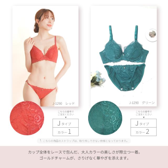 B-Gカップ・アンダー80〜◇5型10色から選べる☆〜ピュア胸〜nico