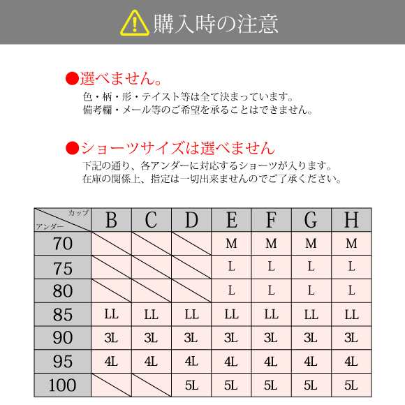 福袋 ブラ セット 3点 中身が見える 大きいサイズ レディース 下着福袋 ...