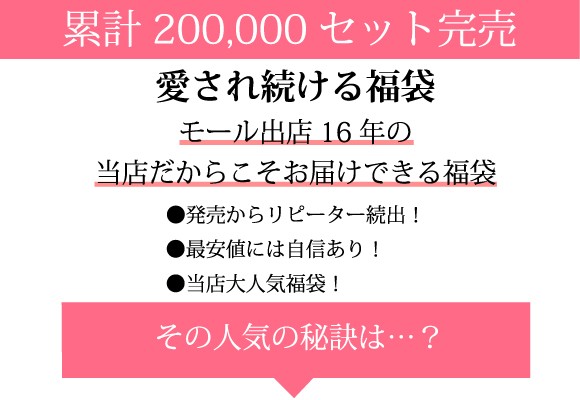 メール便不可 福袋 ブラセット ブラジャーショーツ 3点 刺繍タイプ 大きいサイズ B85 H100 レディース 下着福袋 福袋 21 送料無料の通販はau Pay マーケット Nico インナーショップ