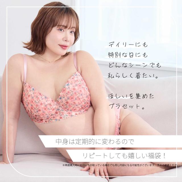 福袋 ブラセット ブラジャーショーツ 3点 2026 (x-053)送料無料[メール