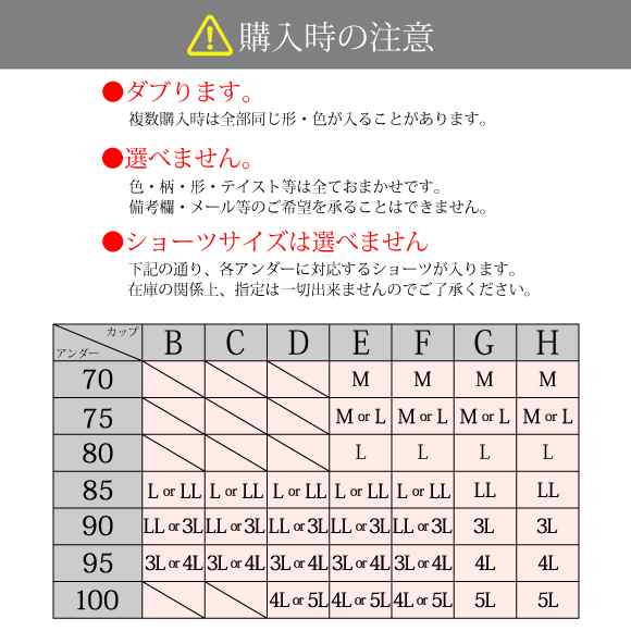 メール便不可 福袋 ブラセット ブラジャーショーツ 3点 刺繍タイプ 大きいサイズ B85 H100 レディース 下着福袋 福袋 21 送料無料の通販はau Pay マーケット Nico インナーショップ