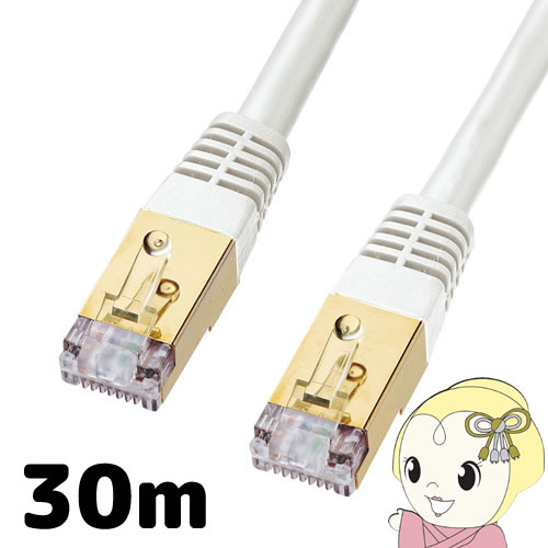 サンワサプライ カテゴリ7LANケーブル 30m KB-T7-30WN