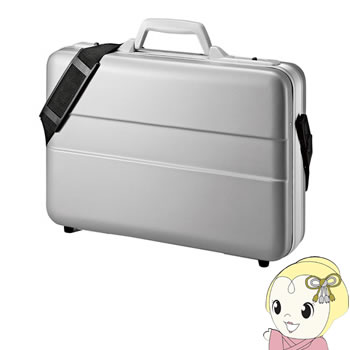 BAG-ABS5N2 サンワサプライ ABSハードPCケース（14インチワイド）