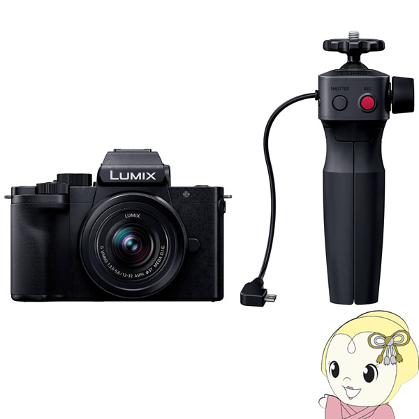 パナソニック ミラーレス 一眼レフ カメラ LUMIX DC-G100V 標準ズーム 