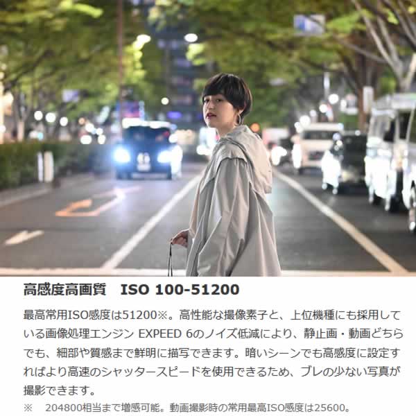 Nikon ニコン ミラーレス 一眼デジタルカメラ Z fc ボディ_5