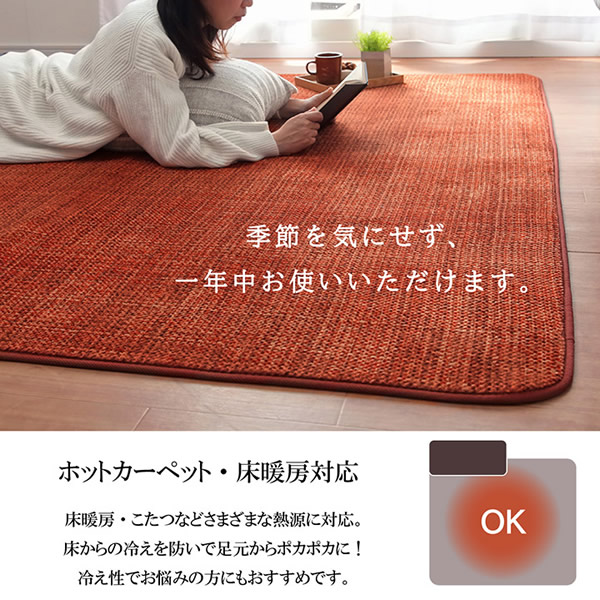 ラグ カーペット マット 珊瑚マイヤ 洗える 滑りにくい イケヒコ ブラウン  IKE-5705389の通販は